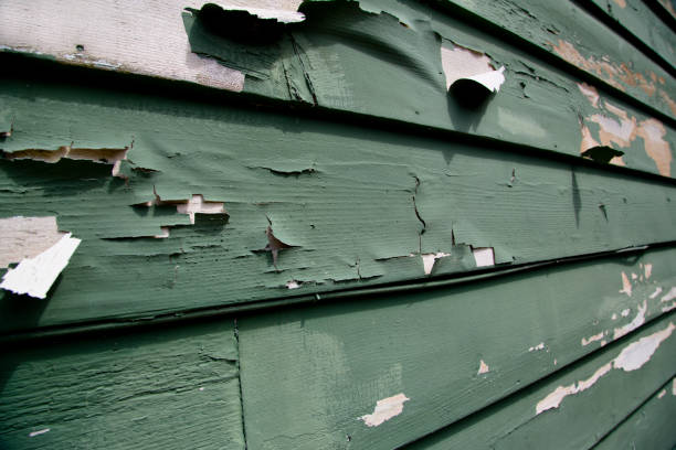 Best Engineered Wood Siding  in Ashland, NJ