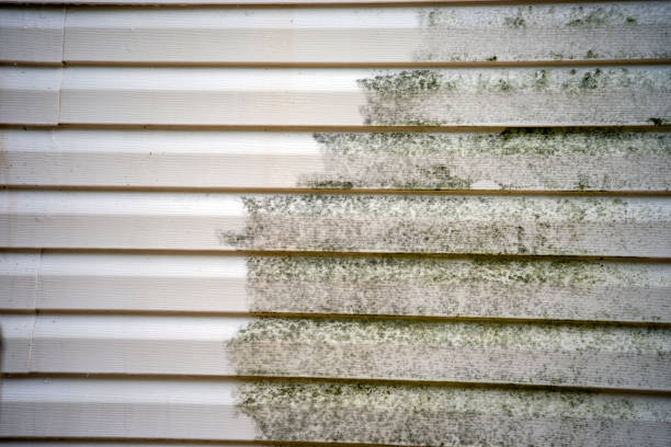 Best Brick Veneer Siding  in Ashland, NJ