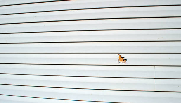 Siding Removal and Disposal in Ashland, NJ