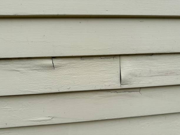 Best Siding Removal and Disposal  in Ashland, NJ